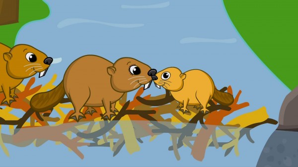 promo.ducktv.tv - 055-006